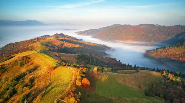 Hermoso Panorama Otoño Montaña Mañana Espesa Niebla Cubierta Valle Vista — Foto de Stock