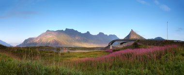 Gecede Lofoten