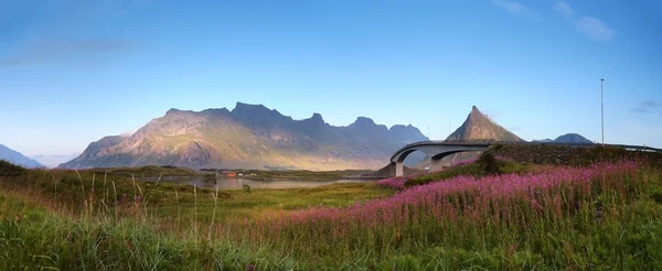 Gecede Lofoten