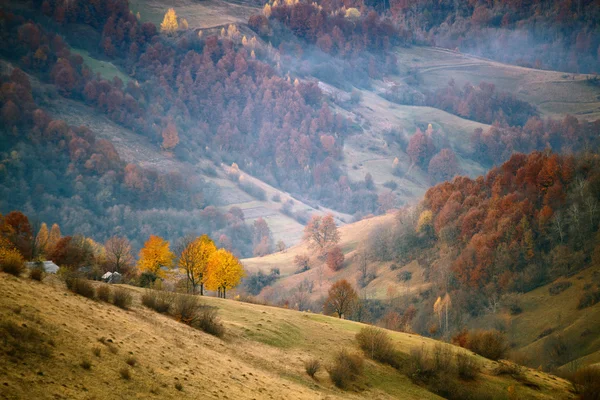 Tavolozza autunno — Foto Stock