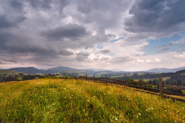 Karpatenwiese — Stockfoto