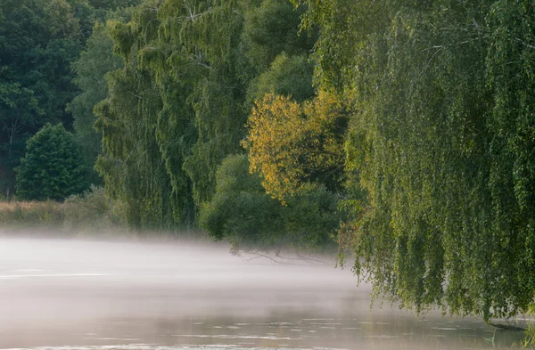Mglisty poranek nad rzeką — Zdjęcie stockowe