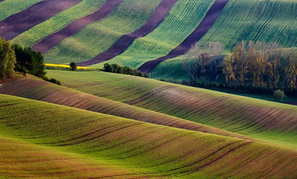 Moravia — Foto Stock