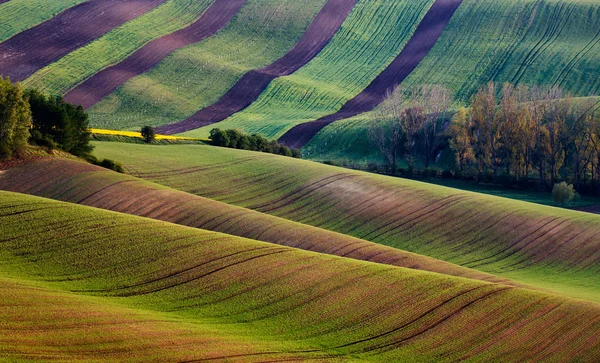 Morvaország — Stock Fotó