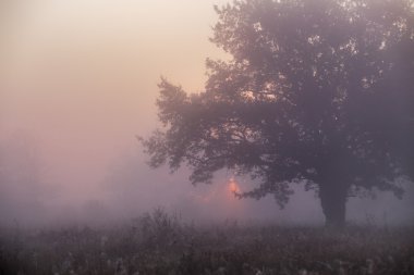 Neman Nehri üzerinde Eylül