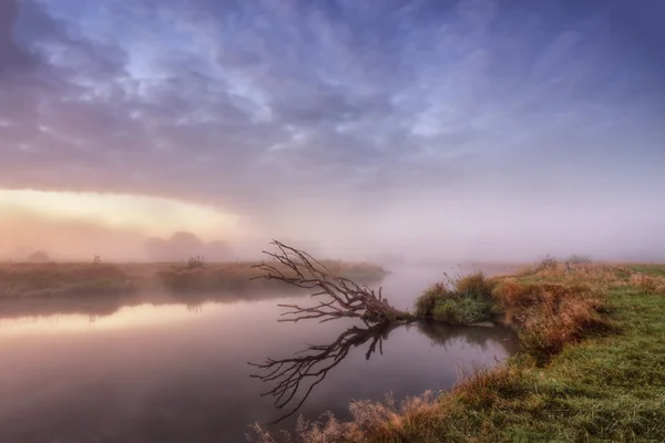 Neman Nehri üzerinde Eylül