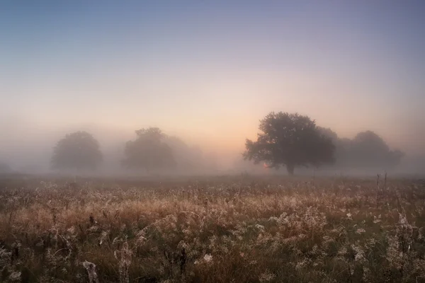 September auf dem Fluss neman — Stockfoto