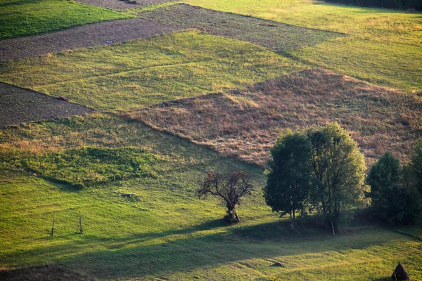 Karpatenhügel — Stockfoto