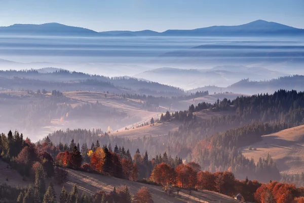Gestreifter Nebel in den Karpaten. — Stockfoto