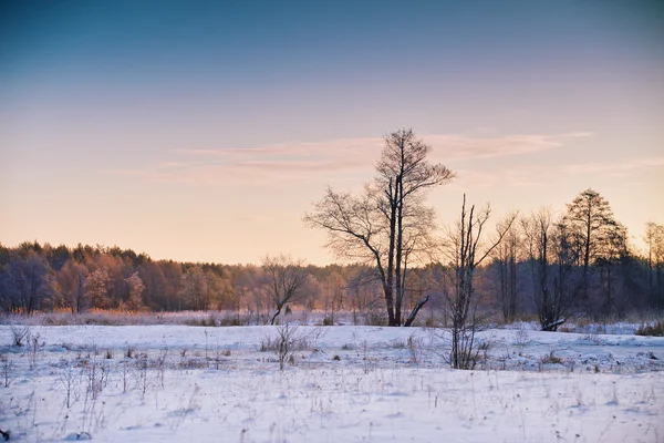 Alvorada de inverno. Nascer do sol na manhã de inverno. Paisagem neve — Fotografia de Stock