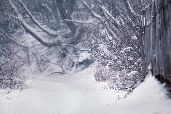 Schnee und Winter. Dorf, Landschaft im Winter — Stockfoto