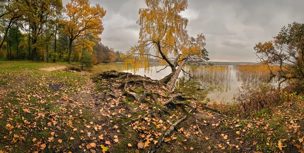Kolory jesieni, pochmurny dzień Octover. Jesienna panorama — Zdjęcie stockowe