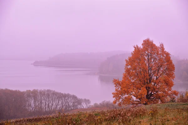 All'alba di ottobre. Mattina d'autunno. Colori d'autunno. Alba rossa . — Foto Stock