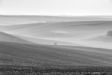 Bahar. Nisan. Bulutlu bir günde Moravia alanları