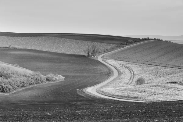 Nisan ayında Moravia Hills Road — Stok fotoğraf