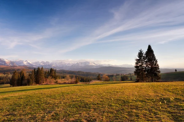 Frühlingslandschaft in der Tatra — Stockfoto