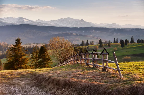Bahar kırsal kesimde Tatras dağlar