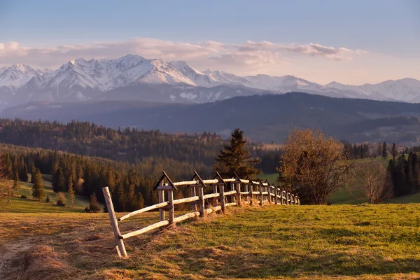 Frühlingslandschaft in der Tatra — Stockfoto