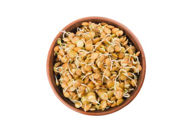 Lentil sprouts in a clay bowl isolated on a white top view, clos clipart