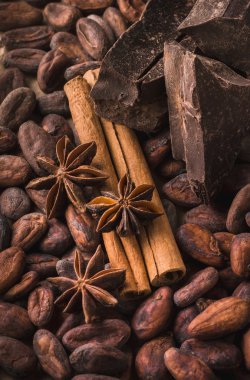 Raw cocoa beans, black chocolate, cinnamon sticks, star anise clipart
