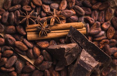 Raw cocoa beans, delicious black chocolate, cinnamon sticks, sta clipart