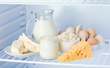 yumurta ve lezzetli süt ürünleri: ekşi krema, peynir, süt,