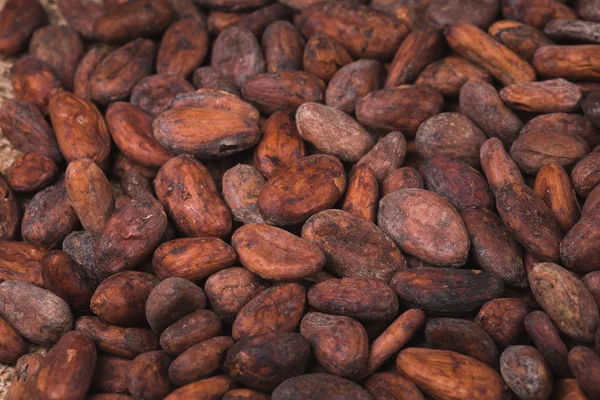 Raw cocoa or cacao beans — Stock Photo, Image