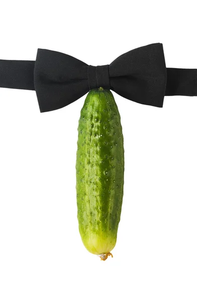 Big cucumber and bow-tie, like the penis — Stock Photo, Image