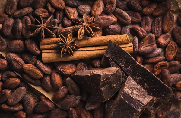 Raw cocoa beans, delicious black chocolate, cinnamon sticks, sta — Stock Photo, Image