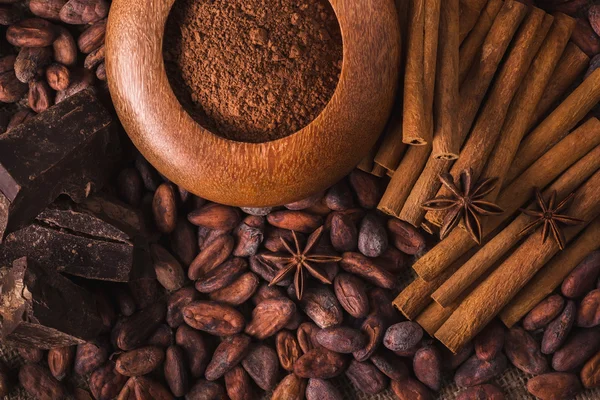 Сырые какао-бобы, вкусный черный шоколад, коричные палочки, ста — стоковое фото