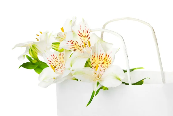 Πανέμορφο μπουκέτο λευκά λουλούδια για την ημέρα της μητέρας — Φωτογραφία Αρχείου