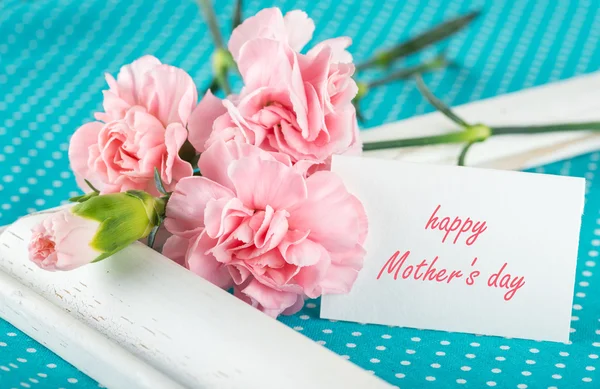 Greeting card with pink carnations on a bright blue background w — Stock Photo, Image