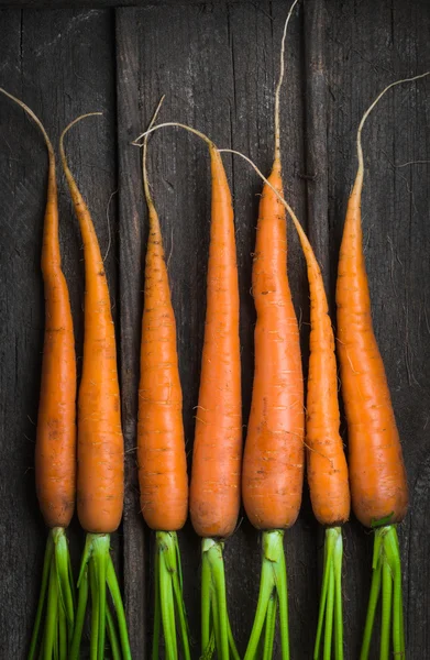 Carote giovani fresche — Foto Stock