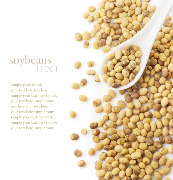 Soybeans in a white ceramic spoon — Stock Photo, Image