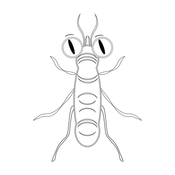 Insekt För Färgning Barn Bugg Vit Bakgrund Med Stora Element — Stock vektor