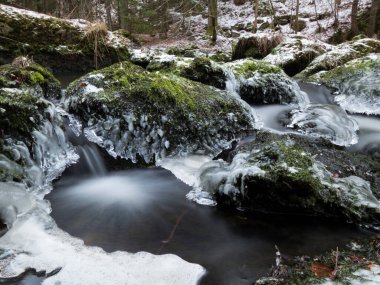 Karla kaplı ormanla çevrili kayalık nehir.