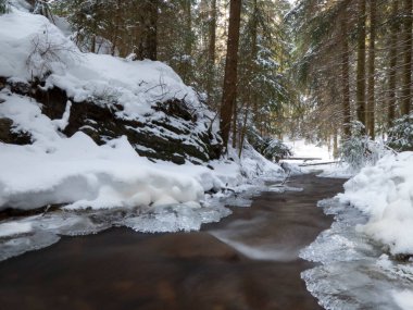 Karla kaplı ormanla çevrili kayalık nehir.