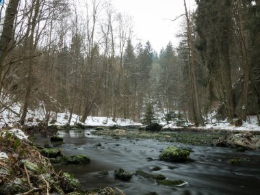 Kayalık nehir karla kaplı ormanla çevrili.