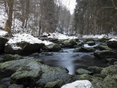 Kayalık nehir karla kaplı ormanla çevrili.