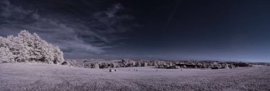 beyaz bitkiler ve mavi bulutlu gökyüzü 