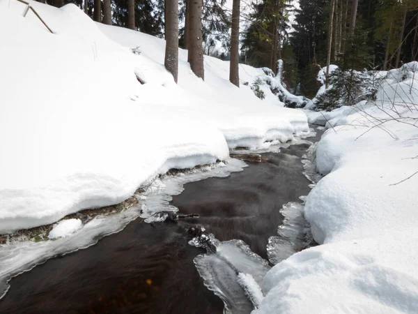 Skalista Rzeka Lodem Otoczona Pokrytym Śniegiem Lasem — Zdjęcie stockowe