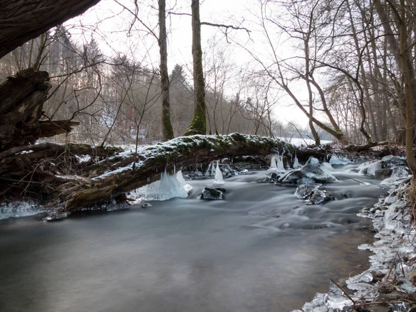 Skalista Rzeka Lodem Otoczona Pokrytym Śniegiem Lasem — Zdjęcie stockowe