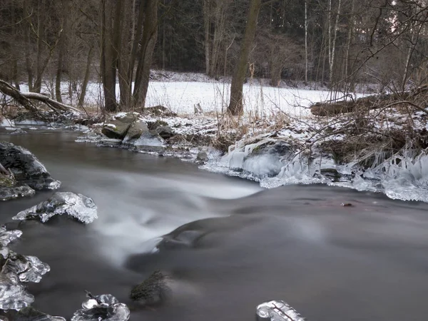 Rivière Rocheuse Entourée Forêt Enneigée — Photo