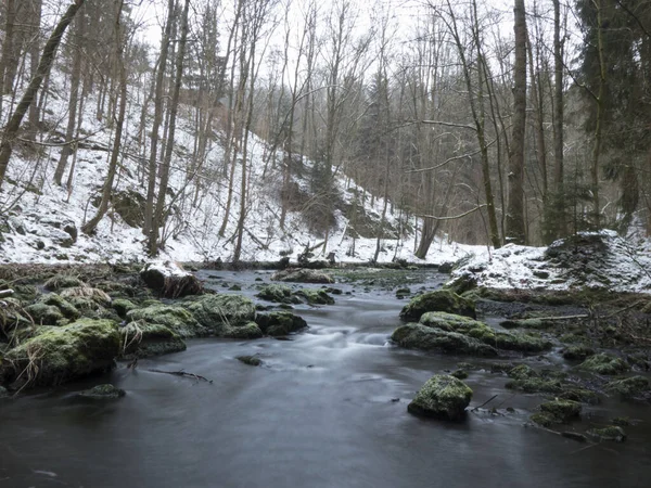 Felsiger Fluss Umgeben Von Schneebedecktem Wald — Stockfoto