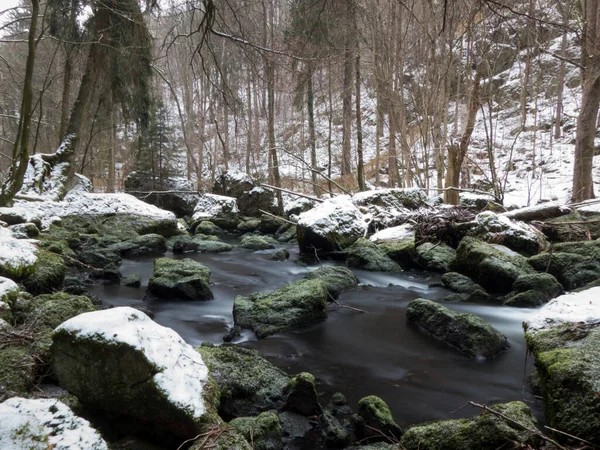 Felsiger Fluss Umgeben Von Schneebedecktem Wald — Stockfoto