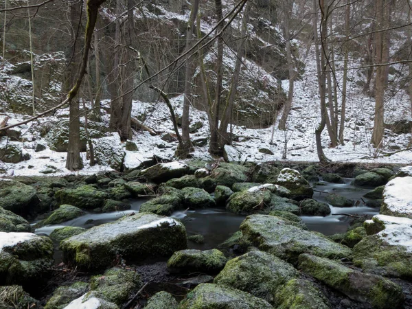 Felsiger Fluss Umgeben Von Schneebedecktem Wald — Stockfoto