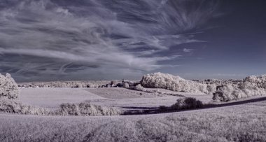 beyaz bitkiler ve mavi bulutlu gökyüzü 