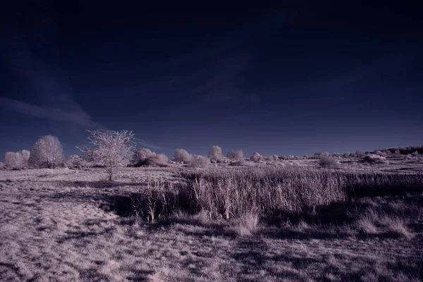 Getönte Aufnahme Einer Flachen Landschaft Mit Blauem Himmel — Stockfoto