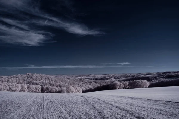 Plano Tonificado Lago Con Plantas Blancas Cielo Azul Nublado — Foto de Stock