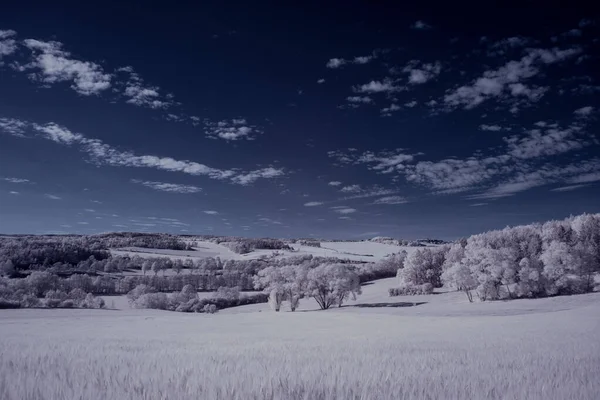 Tónovaný Záběr Jezera Bílými Rostlinami Modrou Oblačnou Oblohou — Stock fotografie